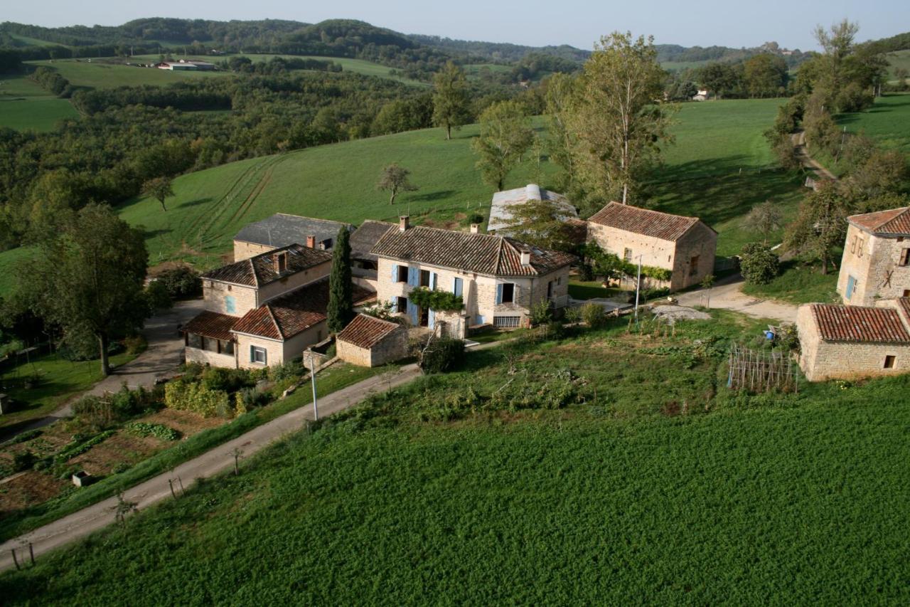 La Ferme Du Paradis Verfeil-sur-Seye Exteriör bild
